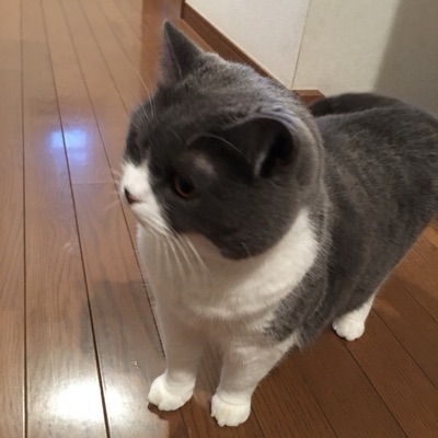 ひぃらむ