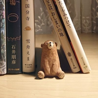 絹
