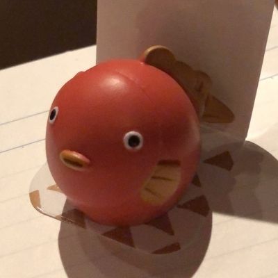 篠乃崎碧海