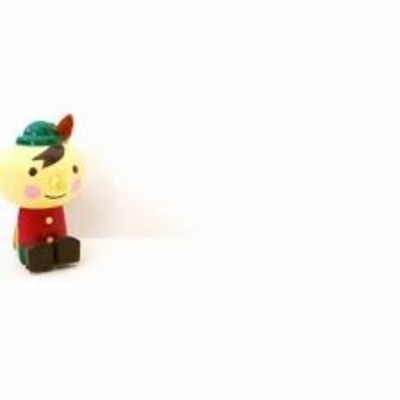 しろい ぴた