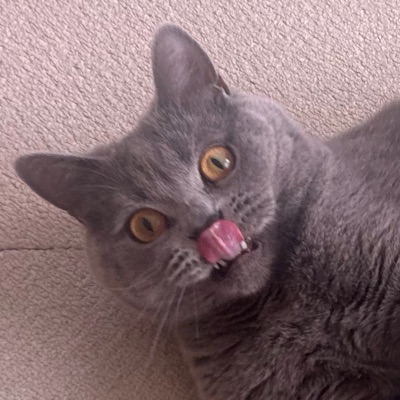 ちゆ
