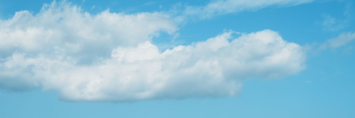 すみ