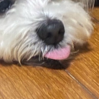 怠惰に生きる