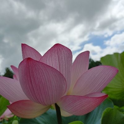ALOKAWORKS