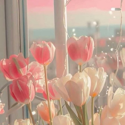 さこ