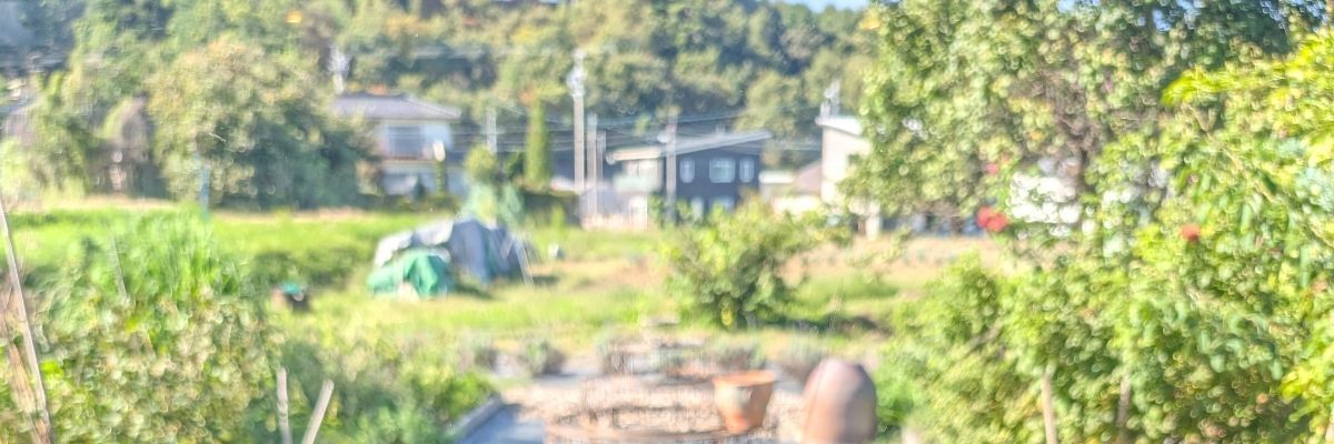もそ