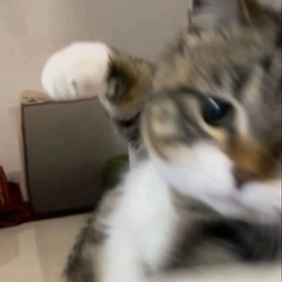 まつ