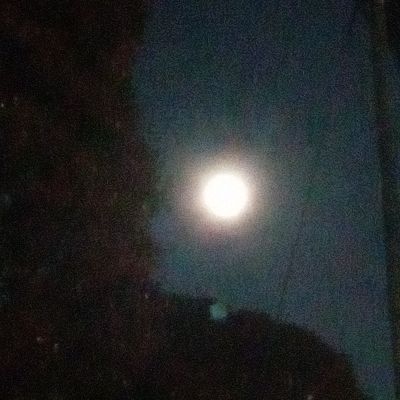 美夜子