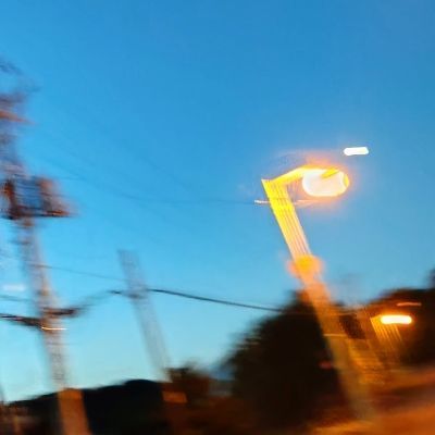 庭にない