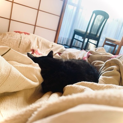 にゃーおばmini