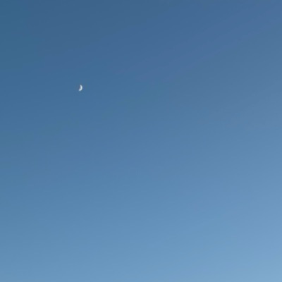 星屑