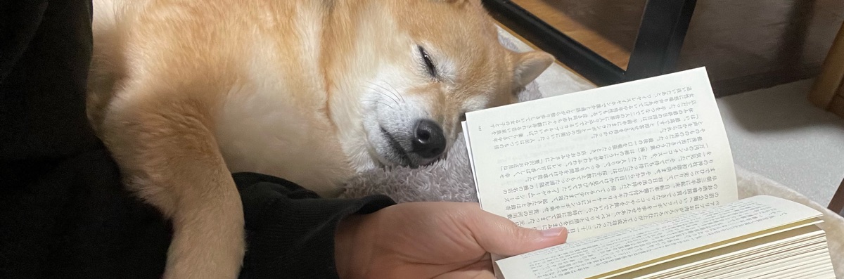 トンちゃんママ
