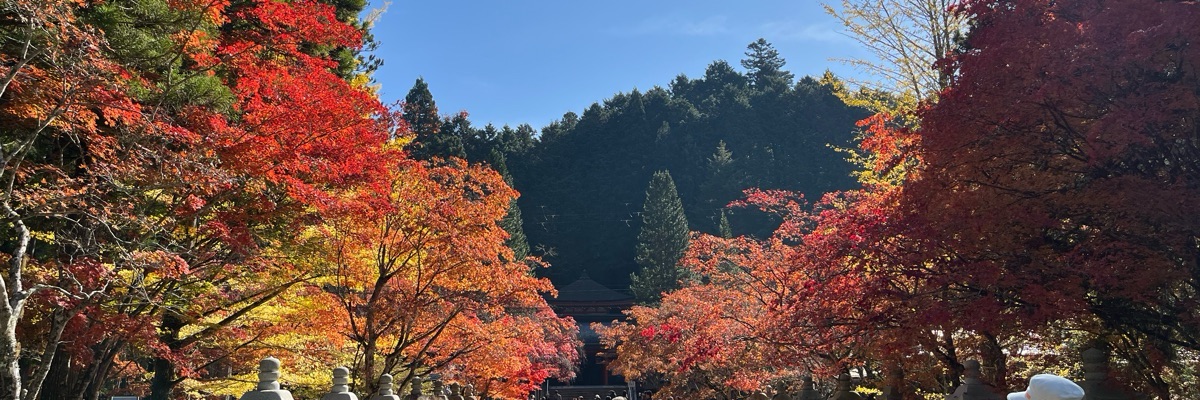 Koki U