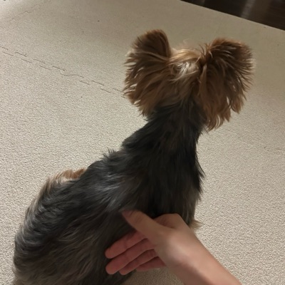 mi
