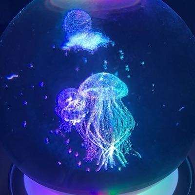 ひつじ丘