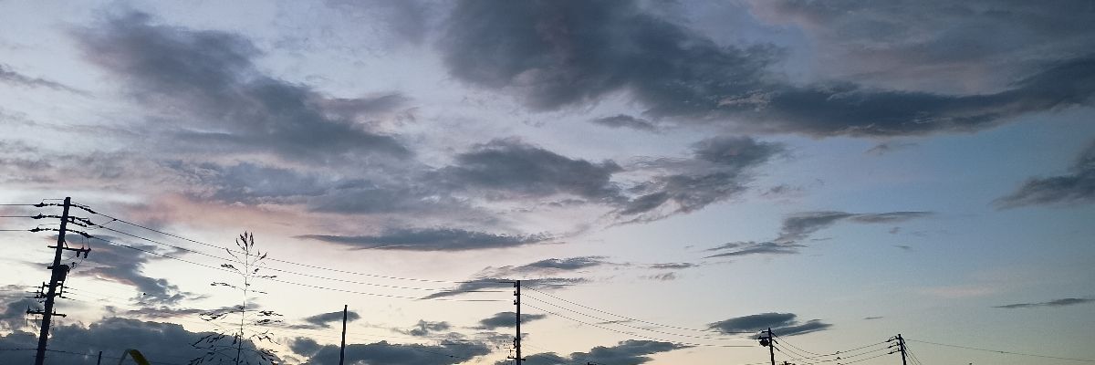 りり
