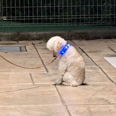 ハル