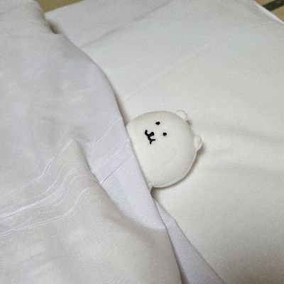 むくげのいぬ