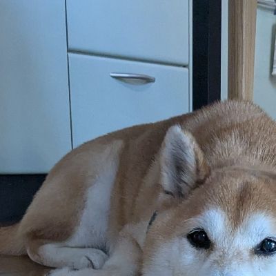 くぬ