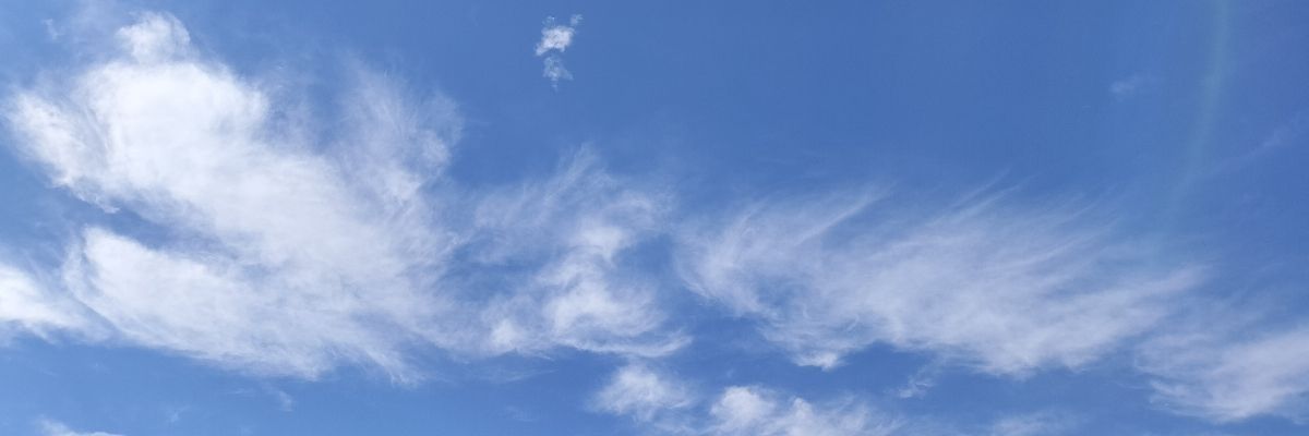 おいなり