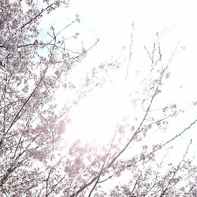 knk