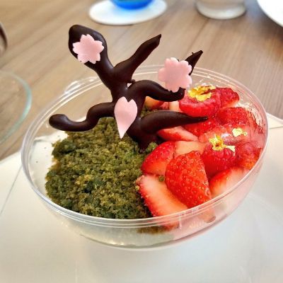 家なき子リュー