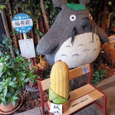 アラレ