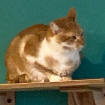 某