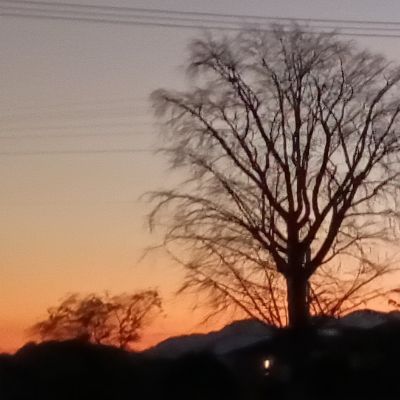 書き屋のサリー