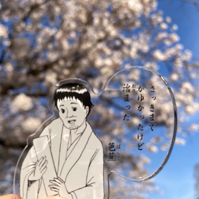毛玉