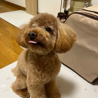 ナタりん