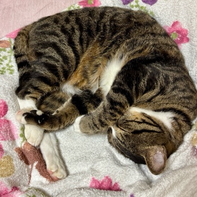 りーこ