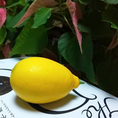 ヤツカ