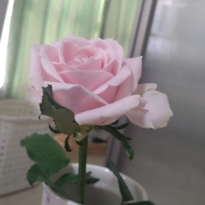 はぐ