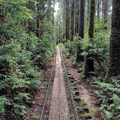 中山
