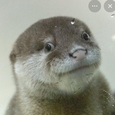 ねね