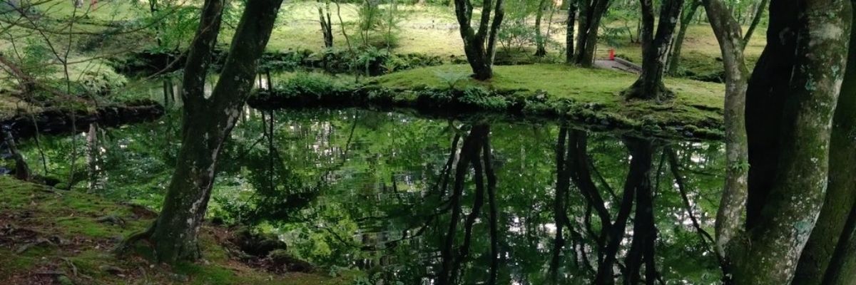 はづき