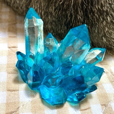 のんこう