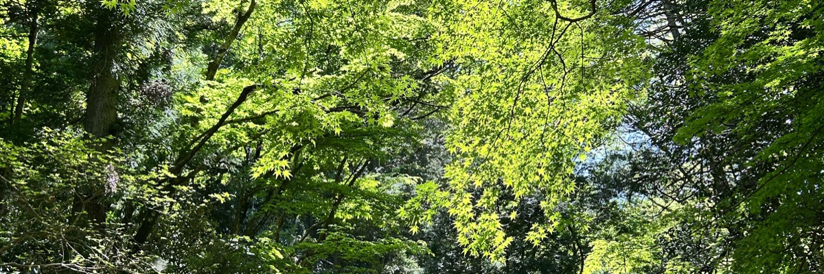 さち