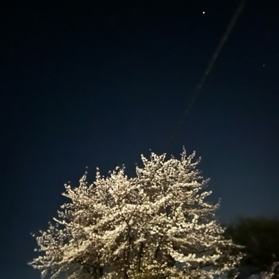 91