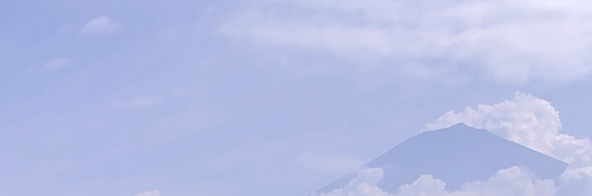 ねむのき