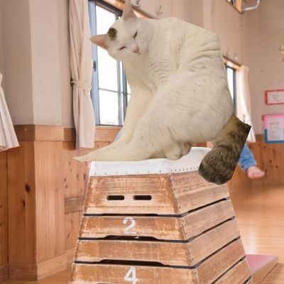 くるくる