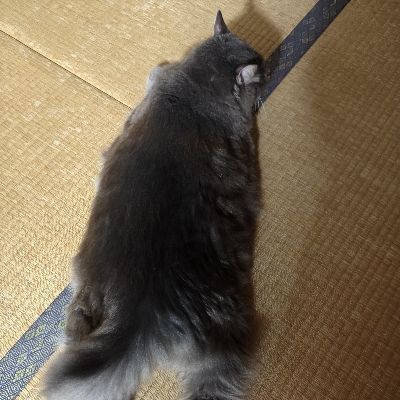 冬籠