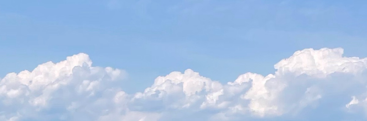 めいびー