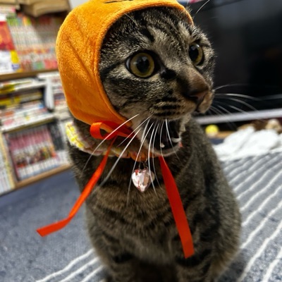 ミミミ