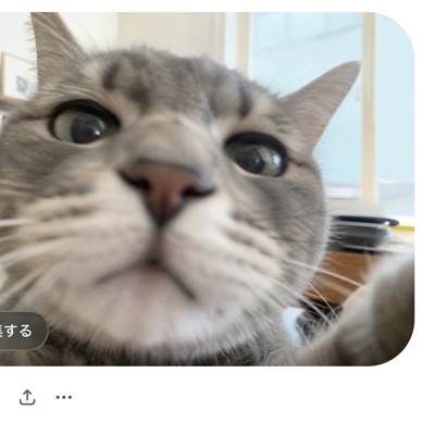 ちくわ