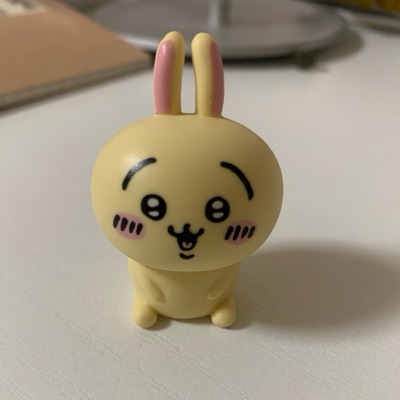 読書好きのうさぎ