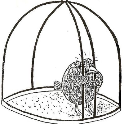 感じるな考えろ