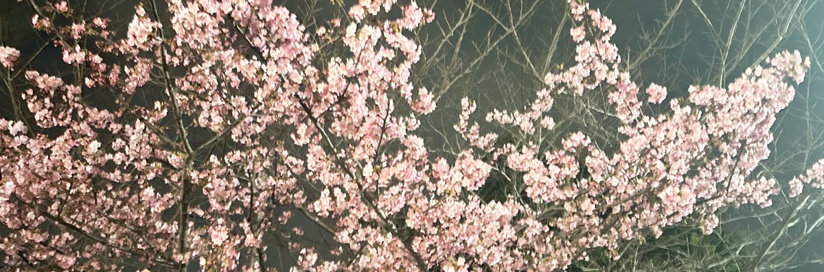 もち