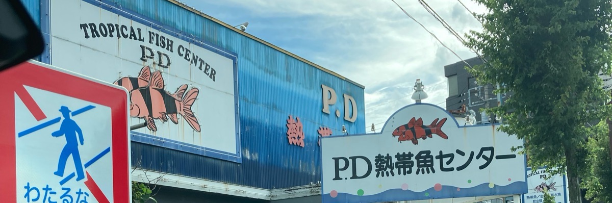 うきくさ